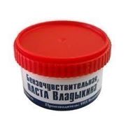 Паста бензочувствительная 90гр. «Владыкина» фото