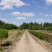 Строительные проекты создания шишкосушилок, теплиц, ледников. фото