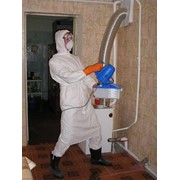 Очистка от инфекций, насекомых и грызунов фото