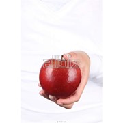 Сертификация детских продуктов питания фото