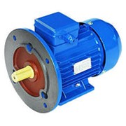 Электродвигатель общепромышленный комбинированный АИР100S4 3/1500 IM2081 фото