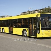 Городской автобус Волжанин Модель 527006 City Rhythm 15 фото
