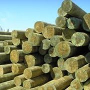 Опоры ЛЭП Прочные фото