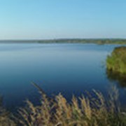 Платная рыбалка фото