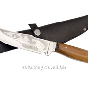Туристический нож Тотем 312 “Клык“ 50х14МФ фото