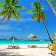 Отдых на море из Могилева фото