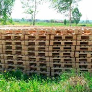 Продажа поддонов и паллет фото