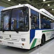 Автобус НЕФАЗ 5299-30-31 фото
