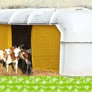 Комплект для содержания телят на свежем воздухе в группе (9 голов) фото
