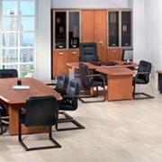 Кабинеты руководителей Сенат фото