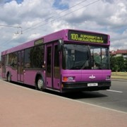 Автобусы городские МАЗ 103 фото
