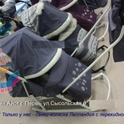 Санки-коляска Лапландия с перекидной ручкой фото