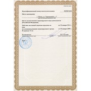 Экспертиза промышленной безопасности (ЭПБ, промышленная безопасность, промэкспертиза) фото