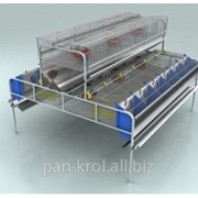 Клетка для кроликов маточная двухъярусная КМ-2 фото
