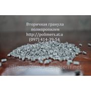 Полипропилен — литьевой (А4) фото
