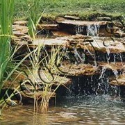 Проектирование и строительство садовых водоемов фото