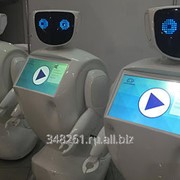 Сервисное обслуживание роботов фото