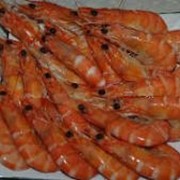Морепродукты. Закуска к пиву фото