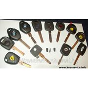 Ключи с иммобилайзером с постоянным кодом фото