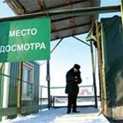 Таможенный брокер фото