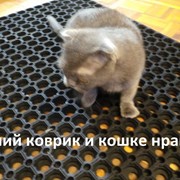 Коврик ячеистый противоскользящий 40х60см с доставкой по СПб фото