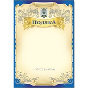 Благодарность А4 110 фото