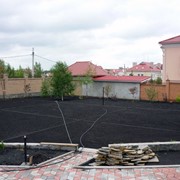 Рулонный газон фото