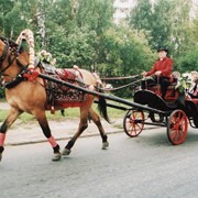 Услуги частного нотариуса фото
