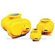 Счетчик газа ротационный G100 РГК-Ех 1:30 фото