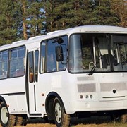 Аренда автобусов ПАЗ на 24 сидячих места фото