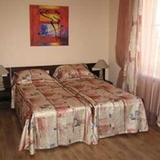 Номер Бизнес фото