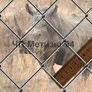 Плетеная сетка Рабица 50х2,5 фото