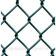 Сітка Рабиця оцинкована 60х60/2,50мм 2,0м/10м фото