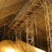 Заготовка, сушка, хранение семенного зерна фото