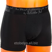 Шорты мужские SD 228 фото