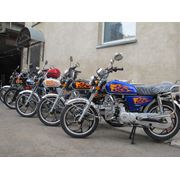 Мопед Irbis Alpha 110 см3 фото