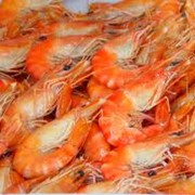 Рыба и морепродукты фото