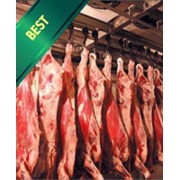 Оптовые поставки мяса фото