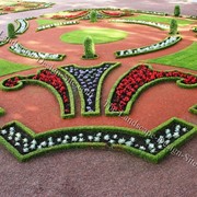 Цветники и клумбы фото