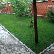 Укладка рулонного газона фото