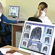 Адис папилон фото