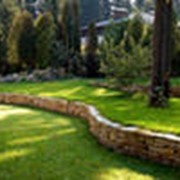 Уборка прилегающих территорий фото