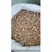 Фисташки Натуральные фото