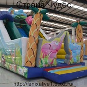 Батут горка с манежем “Джунгли“ фото