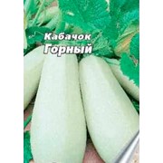 Кабачок белоплодный фото