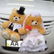 Авто на свадьбу. Аренда автомобилей фото