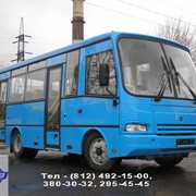 Автобус ПАЗ-3204 дизельный, двухдверный фото