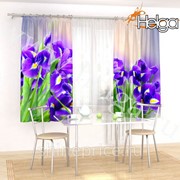 Ирисы арт.ТФК5008 v7 (145х180-2шт) фотошторы (штора Габардин ТФК) фото
