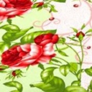 Ткань постельная Бязь 142 гр/м2 150 см Набивная Венера салатовый 3150-3/S041 TDT фото