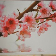 Фотопечать на стенах фото
